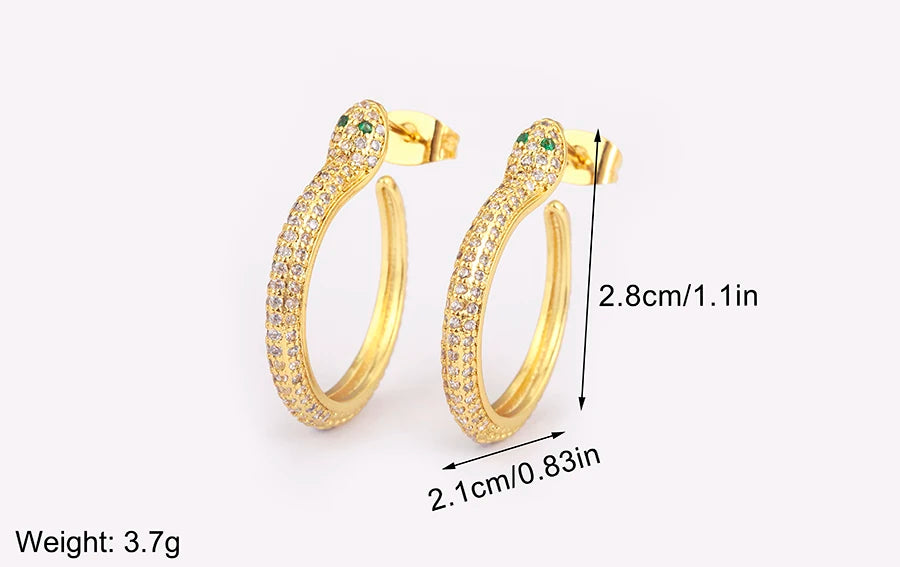 New Popular Snake Shape Cubic Zirconia Big Circle Hoop Earrings For Female Punk Style Daily Party Ear Jewelry Accessories - Floq & Raman