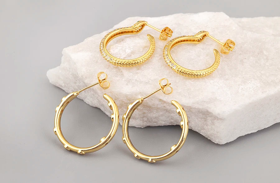 New Popular Snake Shape Cubic Zirconia Big Circle Hoop Earrings For Female Punk Style Daily Party Ear Jewelry Accessories - Floq & Raman
