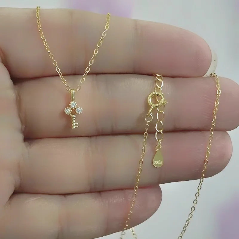 100% S925 Sterling Silver Plating 14K Gold Necklace for Women Zircon Key light luxury Mini Clavicle Chain - Floq & Raman