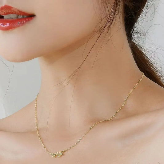 Read S925 Sterling Silver Zirconia Heart Necklace for Women Classic Temperament 14K Gold Plated Jewelry Gift - Floq & Raman