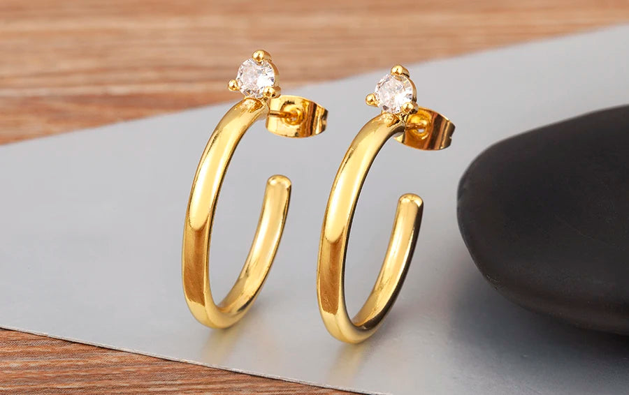 New Popular Snake Shape Cubic Zirconia Big Circle Hoop Earrings For Female Punk Style Daily Party Ear Jewelry Accessories - Floq & Raman