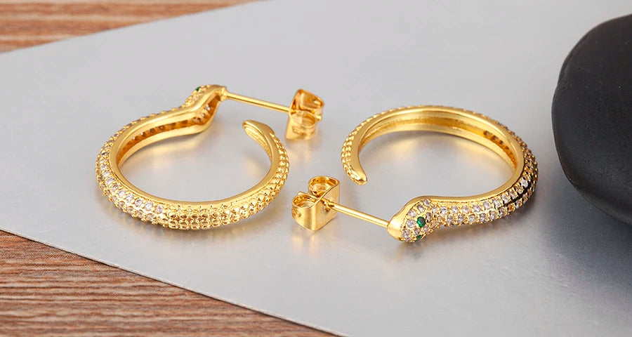 New Popular Snake Shape Cubic Zirconia Big Circle Hoop Earrings For Female Punk Style Daily Party Ear Jewelry Accessories - Floq & Raman